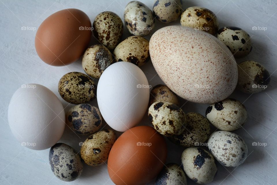 eggs shapes texture background top view