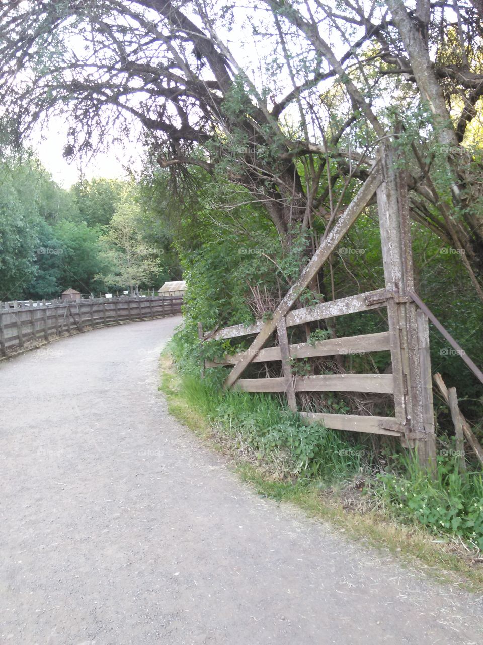 Trail and gate. Trail in entering a farm