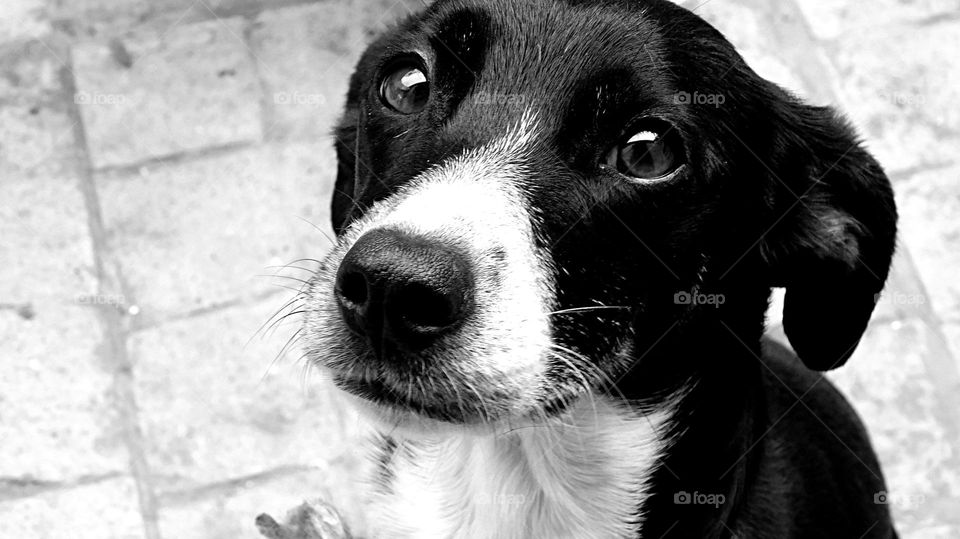 La mirada mas tierna