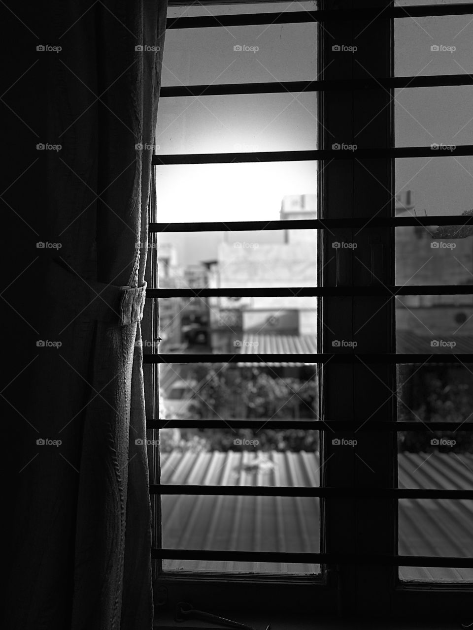 Where the windows are breathing in the light 🪟