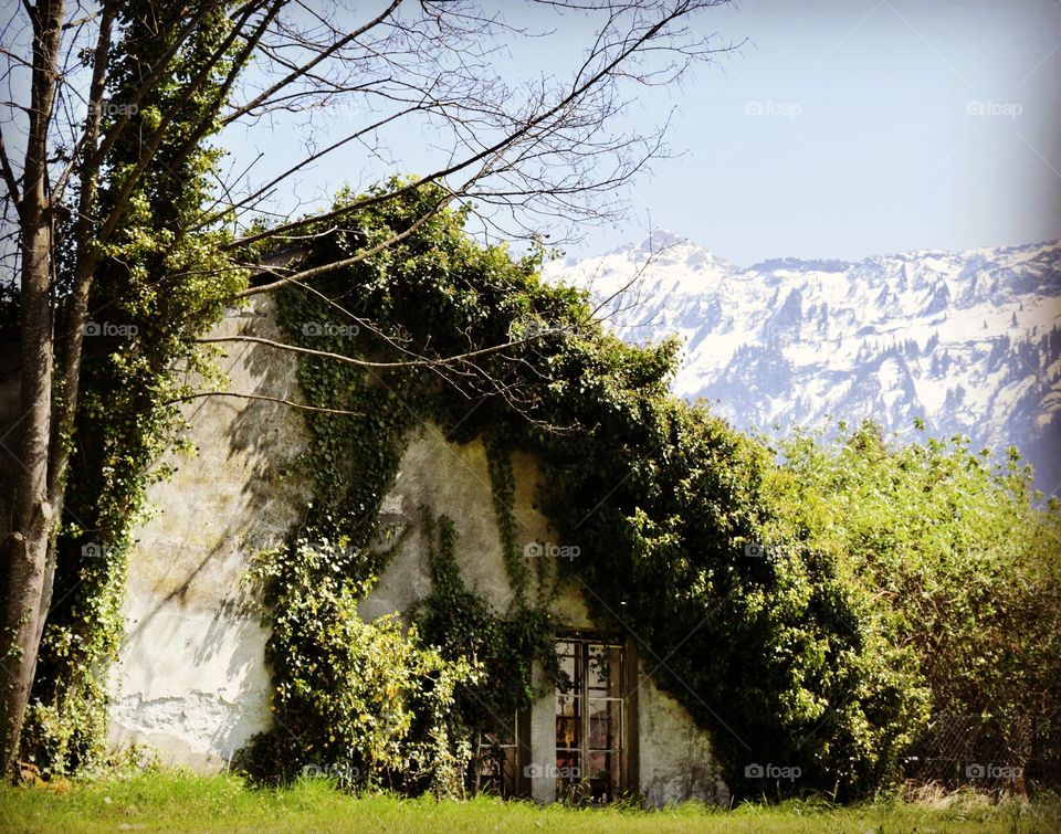 The cottage in Interlaken, Switzerland.