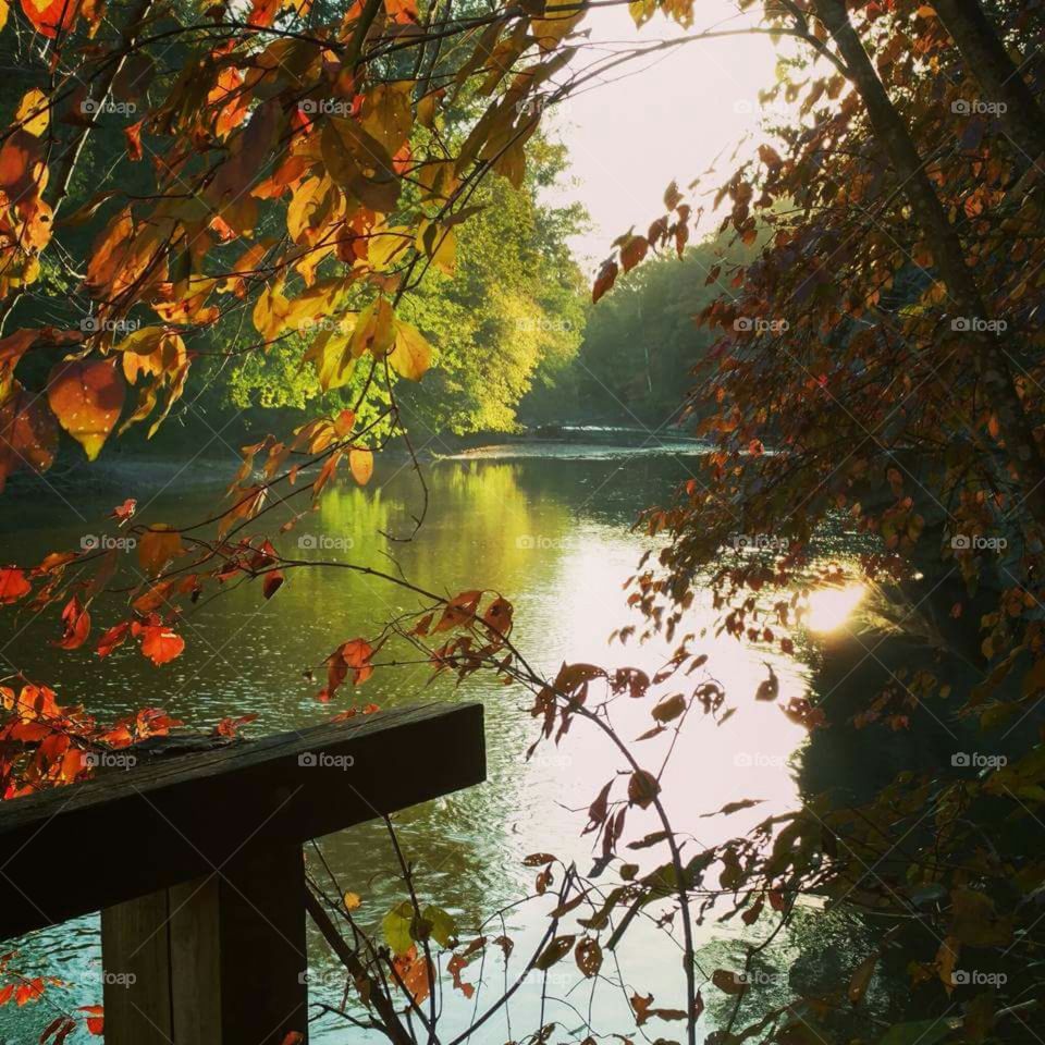 Autumn River