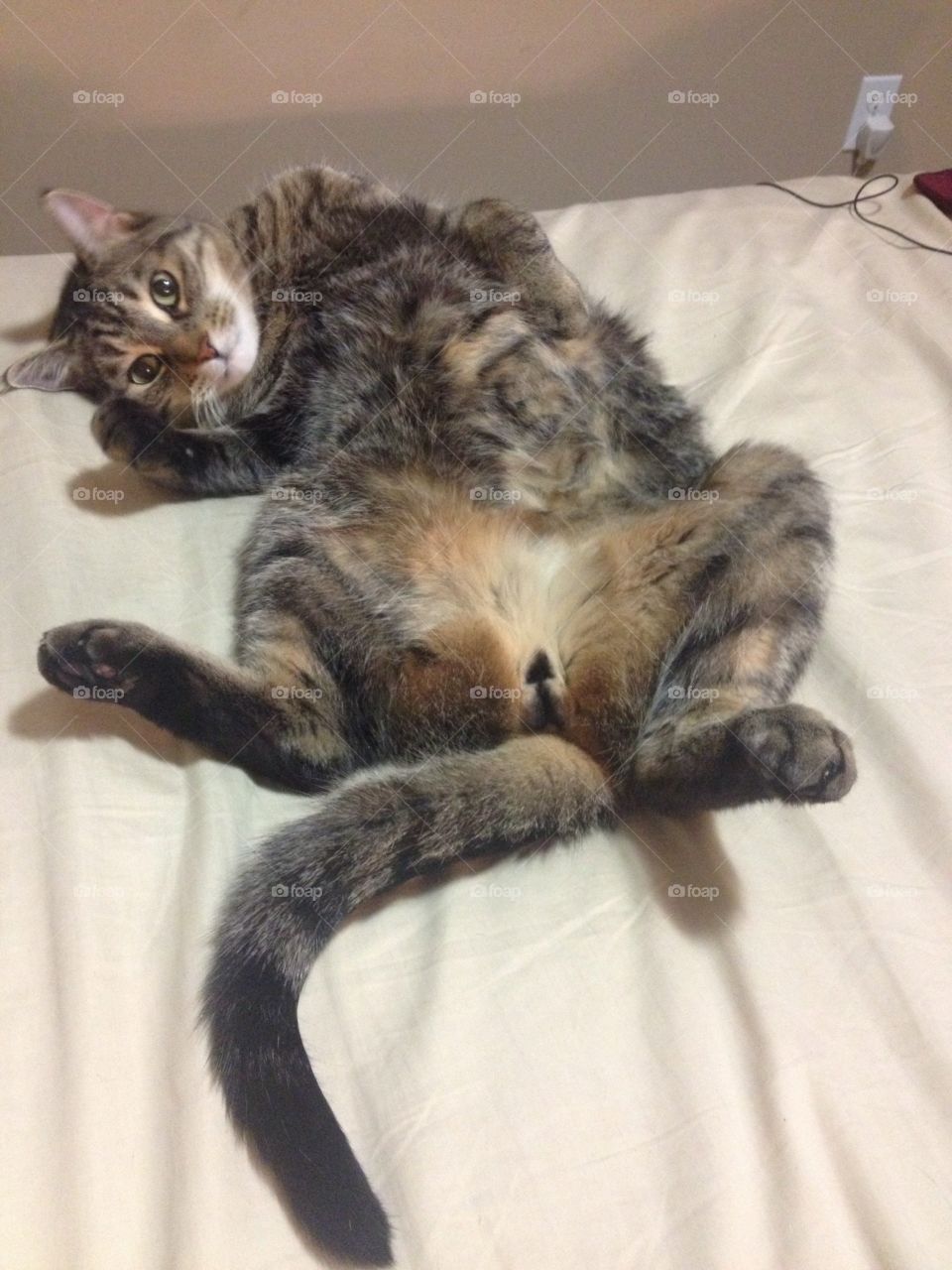 I know, I'm adorable