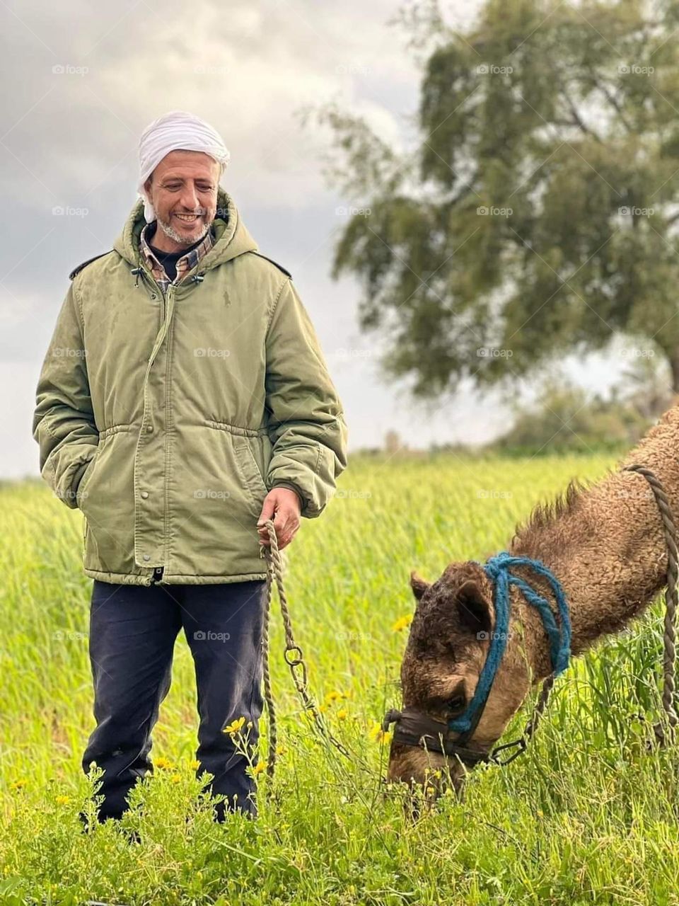 A picture that expresses the life of a simple desert in the middle of picturesque nature. A man with a camel is a wonderful picture