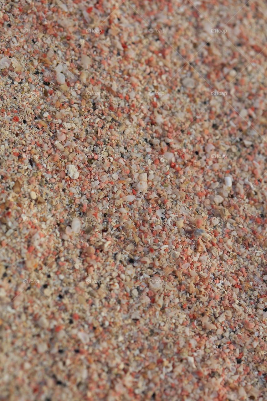 Beautiful shells on Elafonissi beach Creta island Greece summer feeling traveling with friends amazing nature therapy summer mood positive vibes wonderful time hustling daydreaming naturalism crystal waters paradise bay area