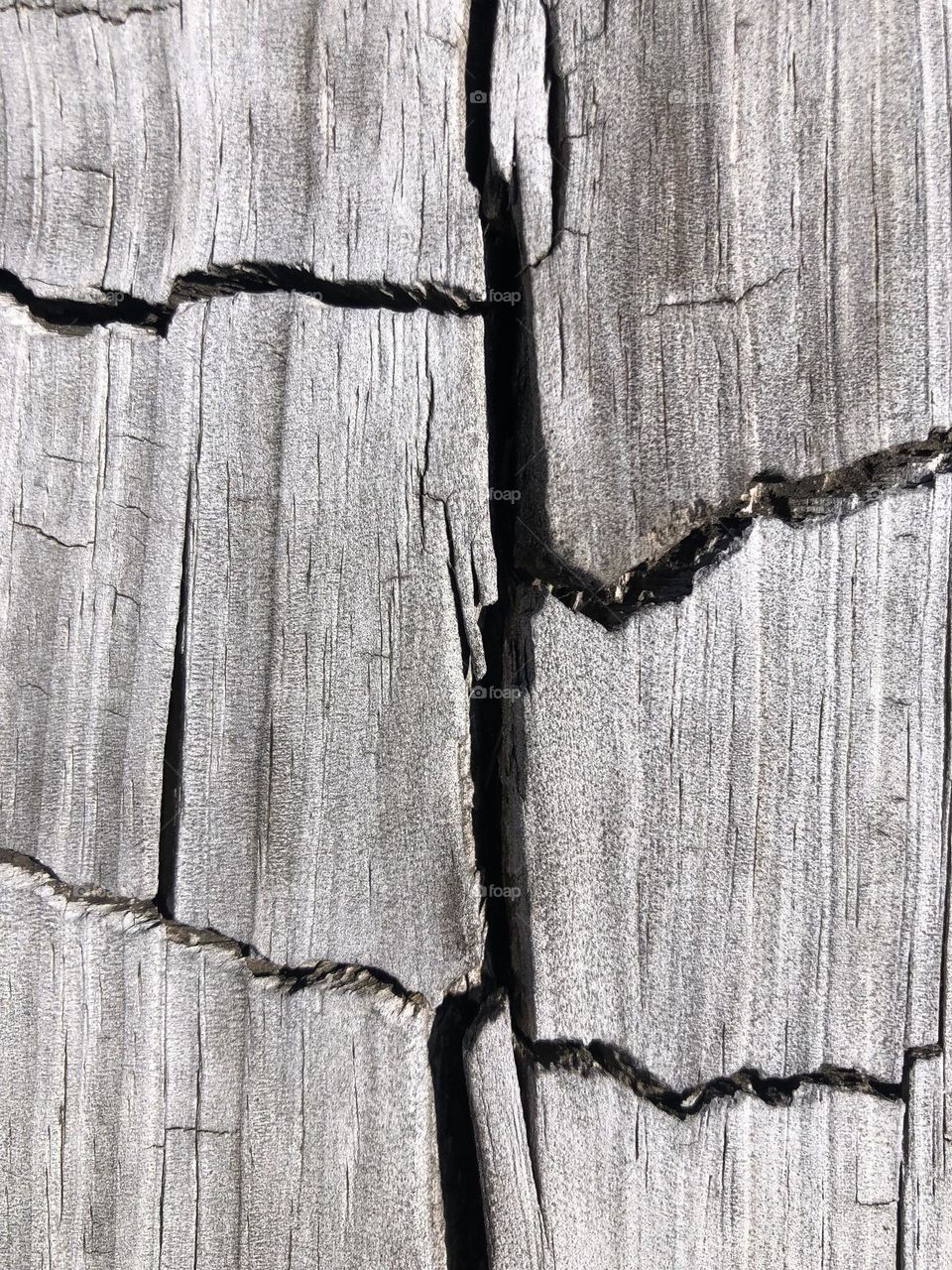 The cracks in this plank on the deck at the bay house in Texas reminded me of an EKG! All is normal in this wood - except for the cracks!