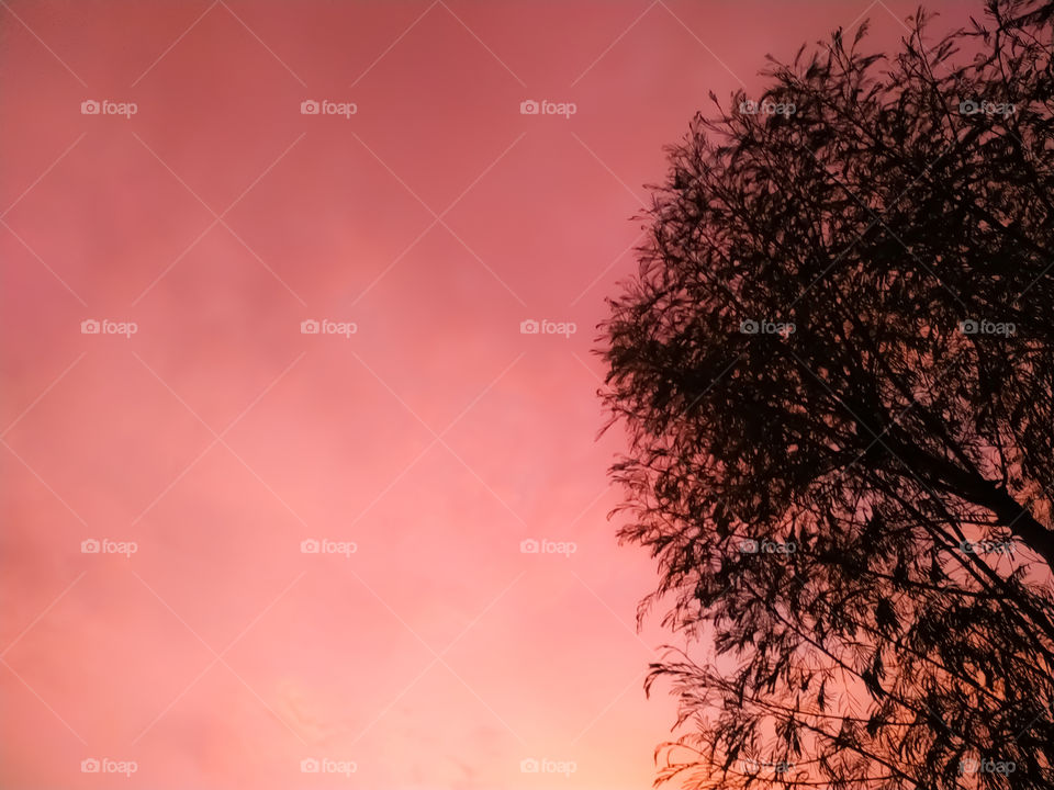 Beautiful sunset over the sea.with tree ,sky on twilight time and reflection