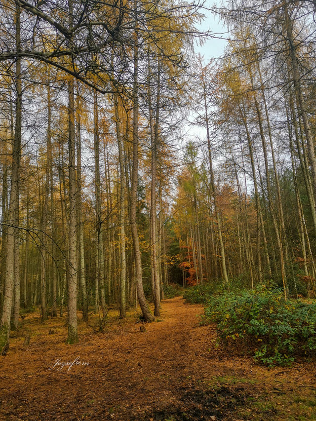 Autumnal
