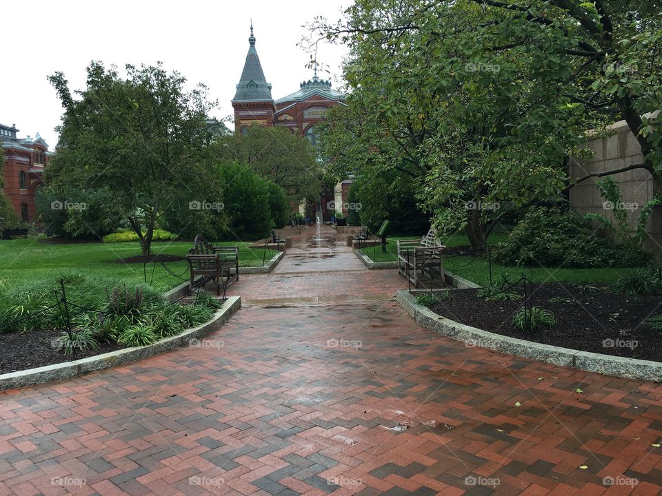 Visiting Washington DC 