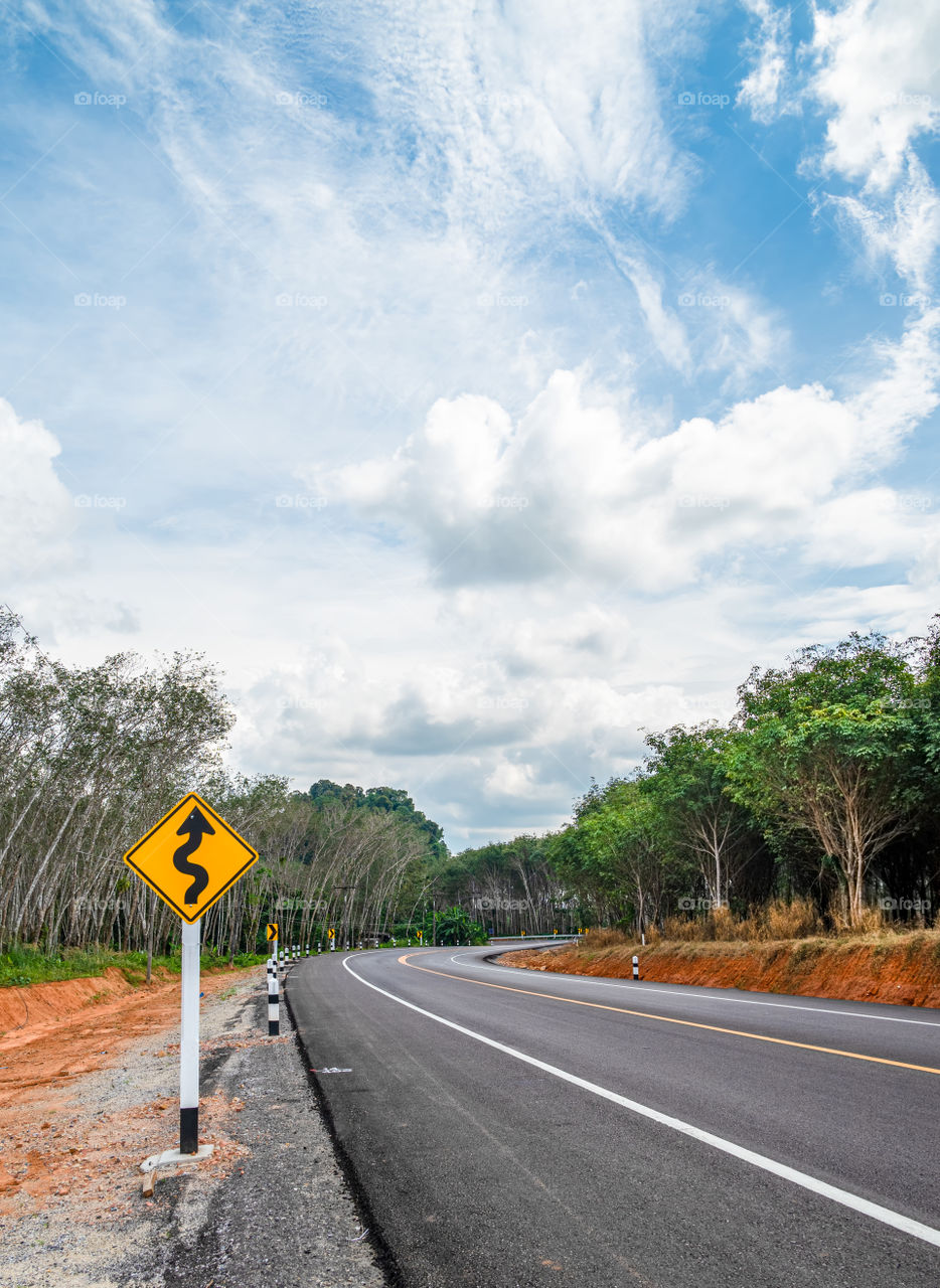 Long road between forest