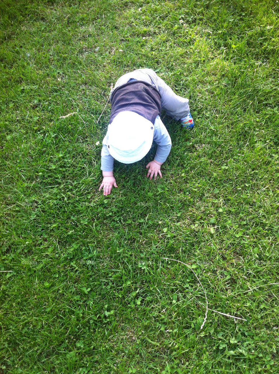 grass baby crawling by derrybirkett
