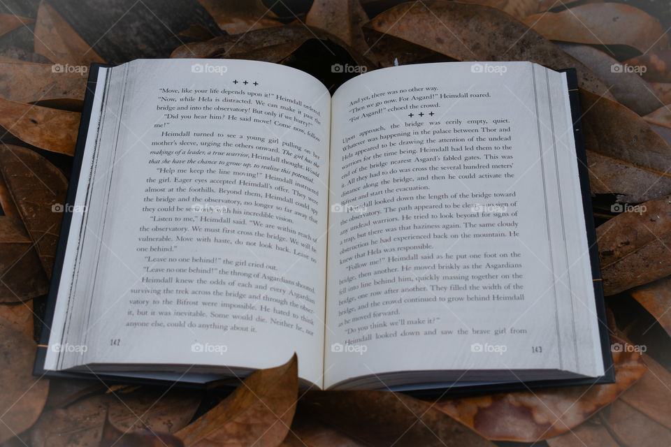 It's always nice to read a good book on a lovely Autumn day.