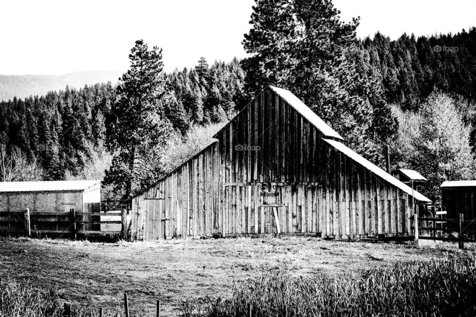 Old barn