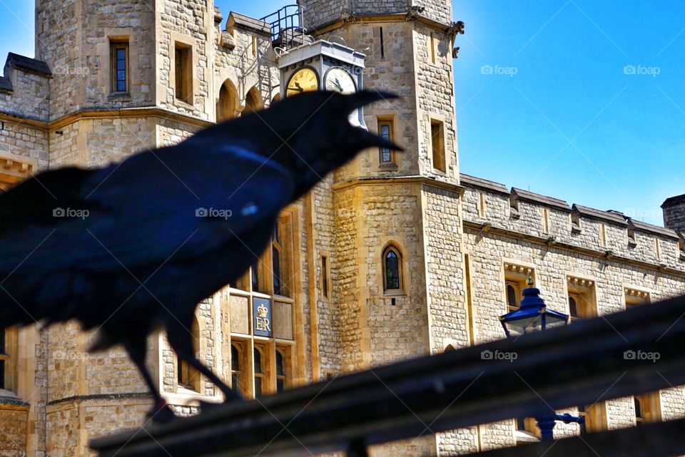 Outside the Crown Jewels, Tower of London. 