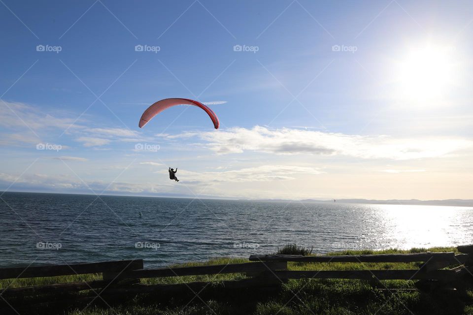 The freedom- paraglider up in the sky 