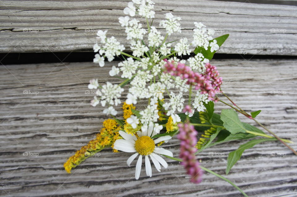 A gathering of Fall flowers