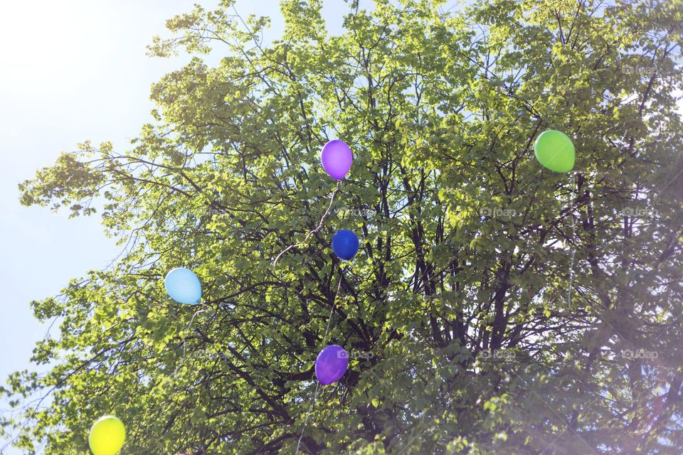 Balls on a holiday against the background of the sky and a tree, summer.

￼