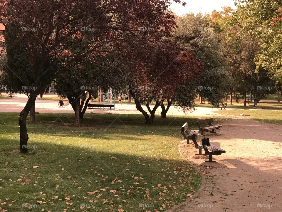 Autumn