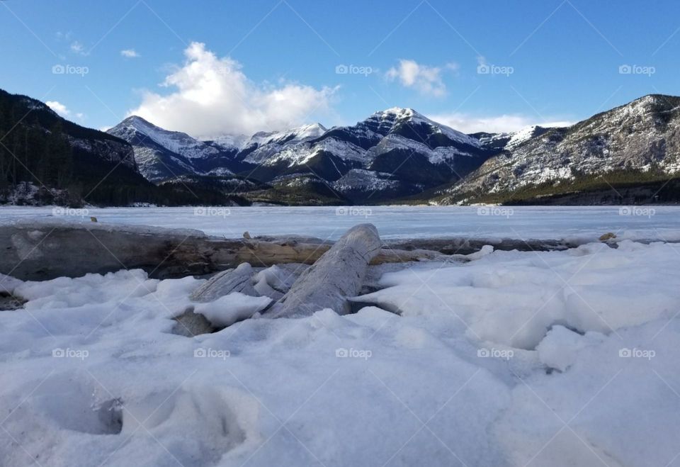 Frozen Lake in the midst of winter