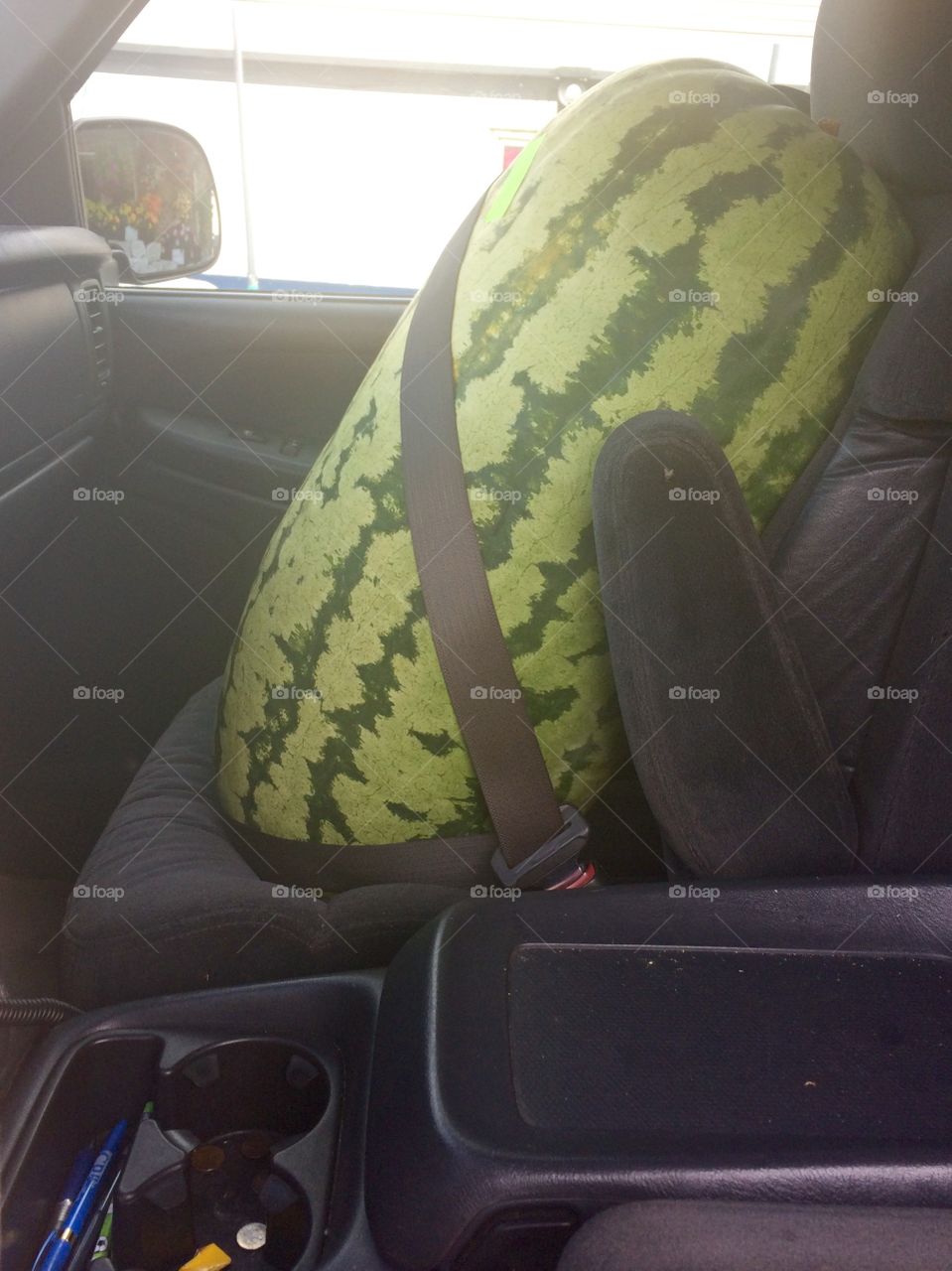 Watermelon in Seat belt
