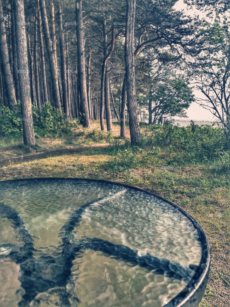 A table in the forest by the sea.