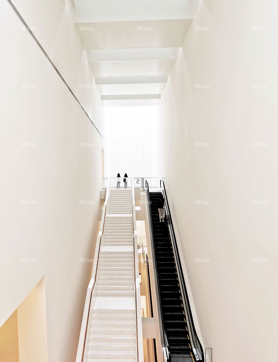 Natural light and neon light