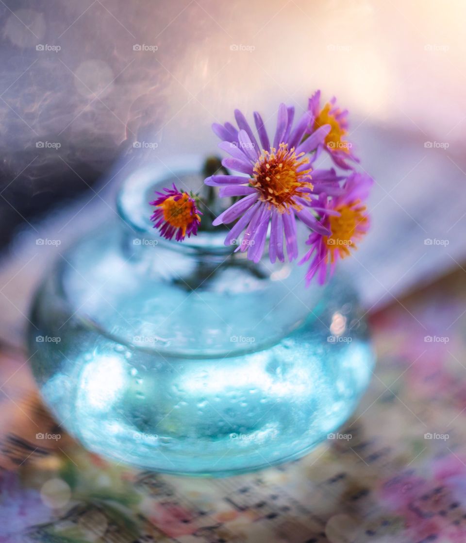 Flowers in a glass vase with blurry background and bokeh