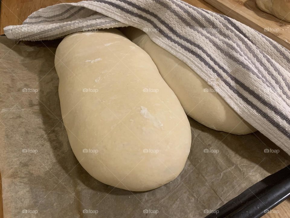 Rise bread dough 