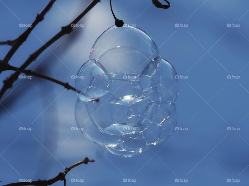 Cluster of soap bubbles