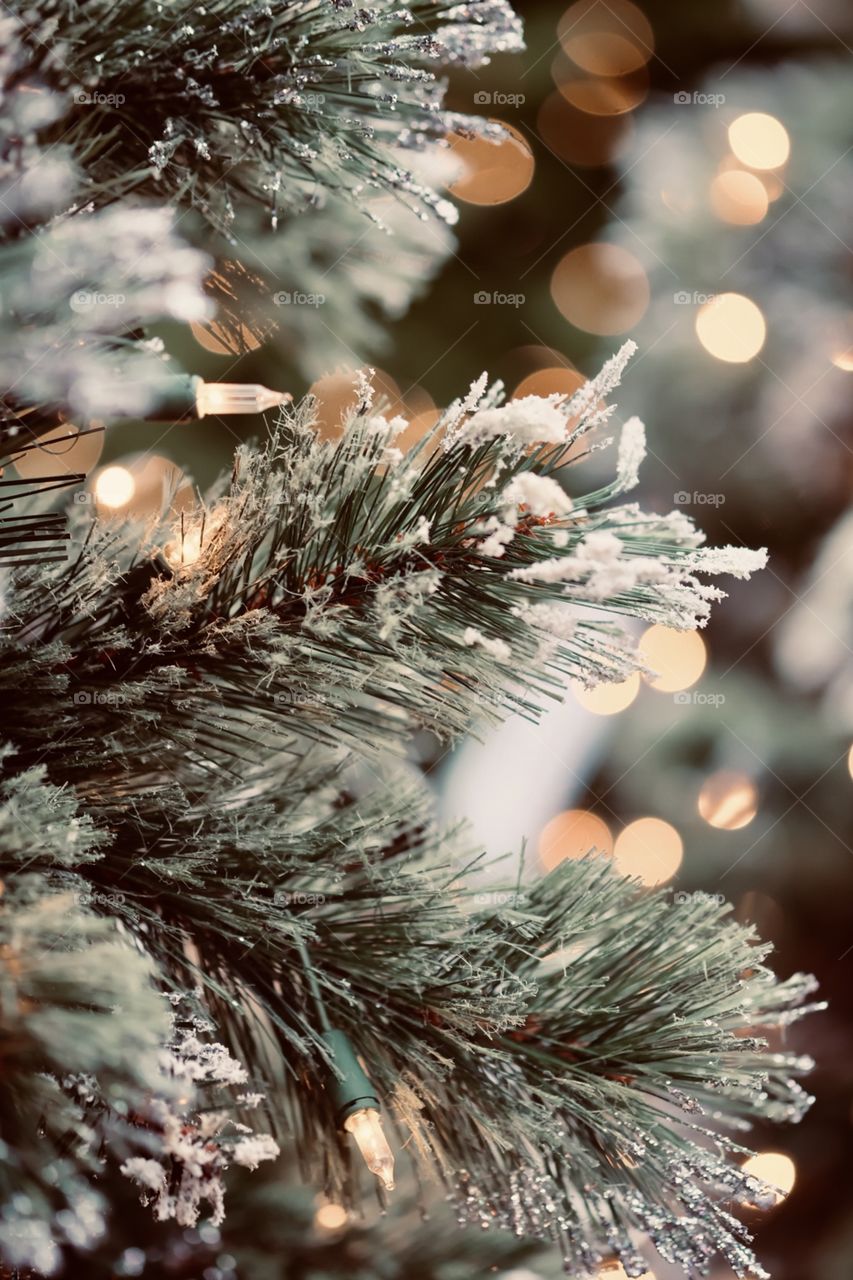 Macro Shot Of Christmas Tree With Lights And Snow 