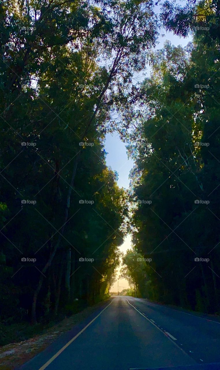 My Magic road trip of my point of view 