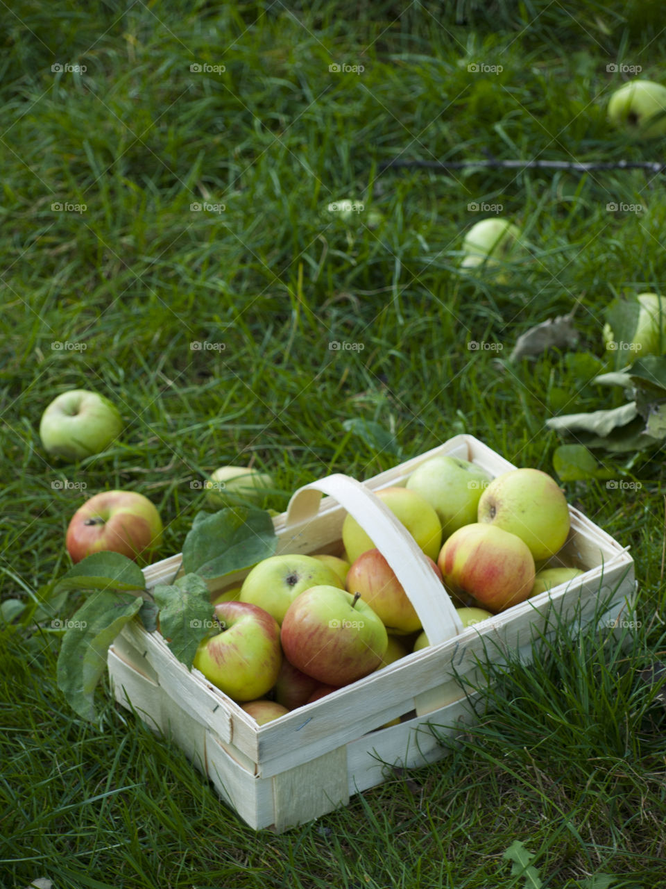 apples in a basket