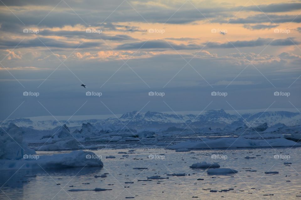 Midnight Sun Sailing Greenland