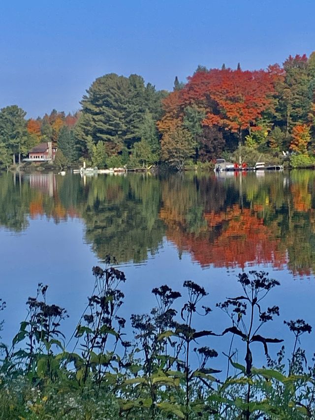 Autumn landscape Laurentian, Quebec, Canada 🍁