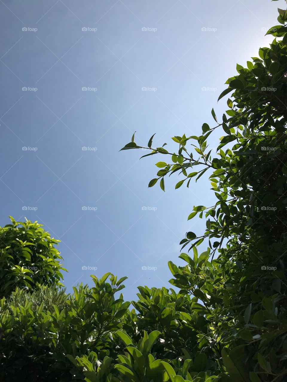 Good time in my garden