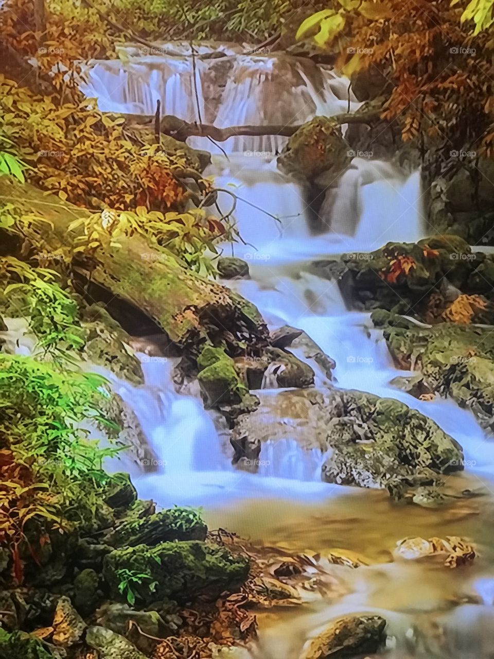 Europe waterfall