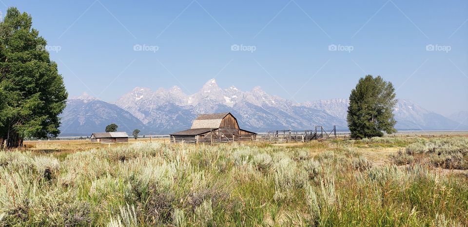 Old Barn at Mormon Row with a Sage foreground and the Beautiful Tetons in background.