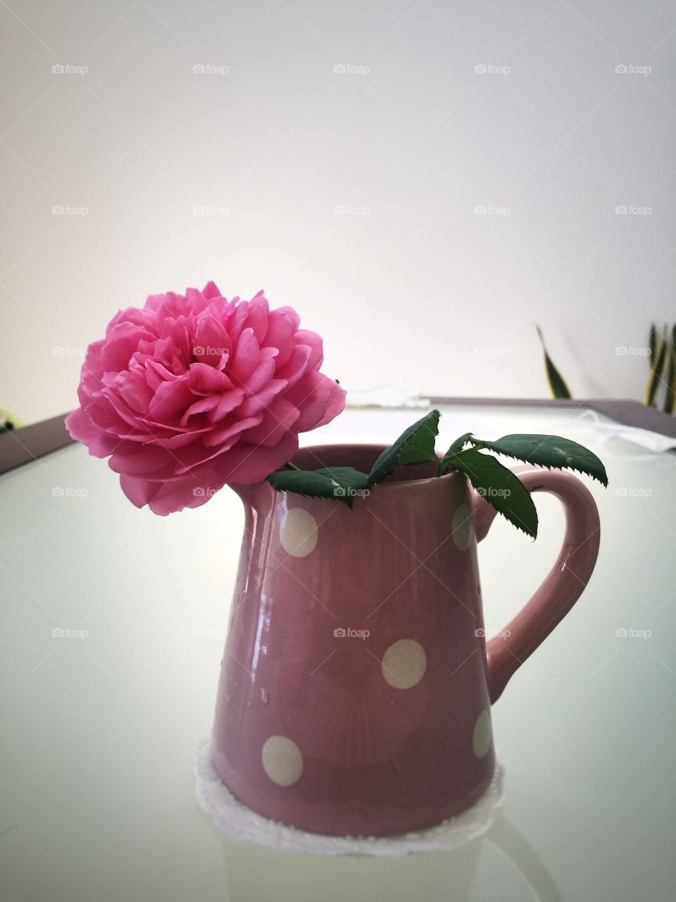 Pink Rose in pink jar 