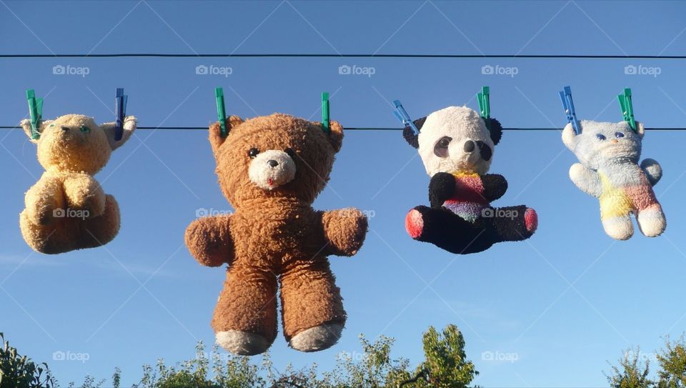 Childhood - Teddy Bear and cuddly toys