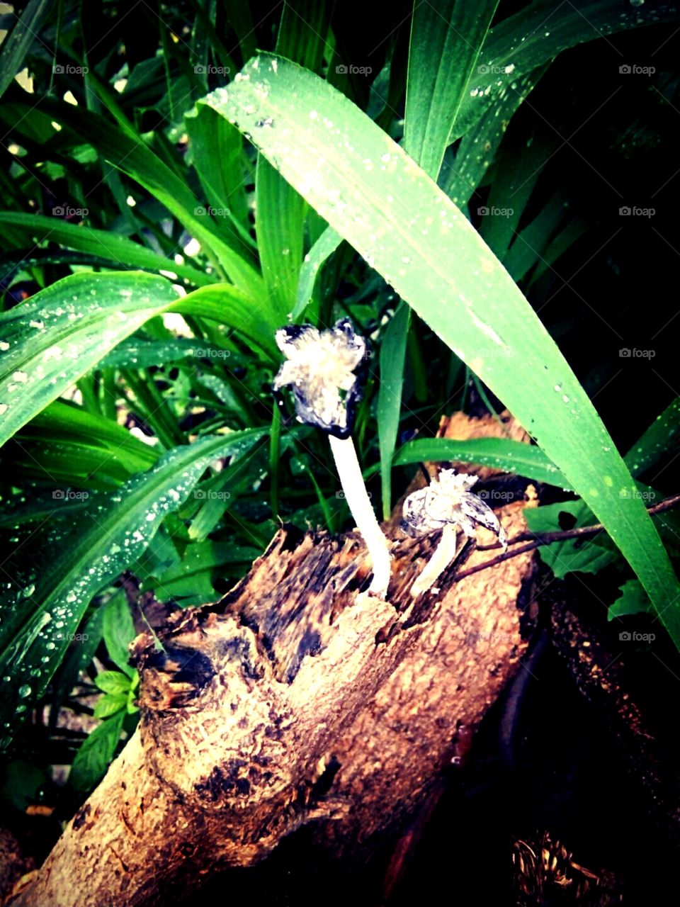 A great photo,a photo for everyone,a memorable photo,a no. photo,a photo to cherish,a beautiful photo,a great photo for the best people,an evergreen photo,a photo to remember for years,the best result of great photography