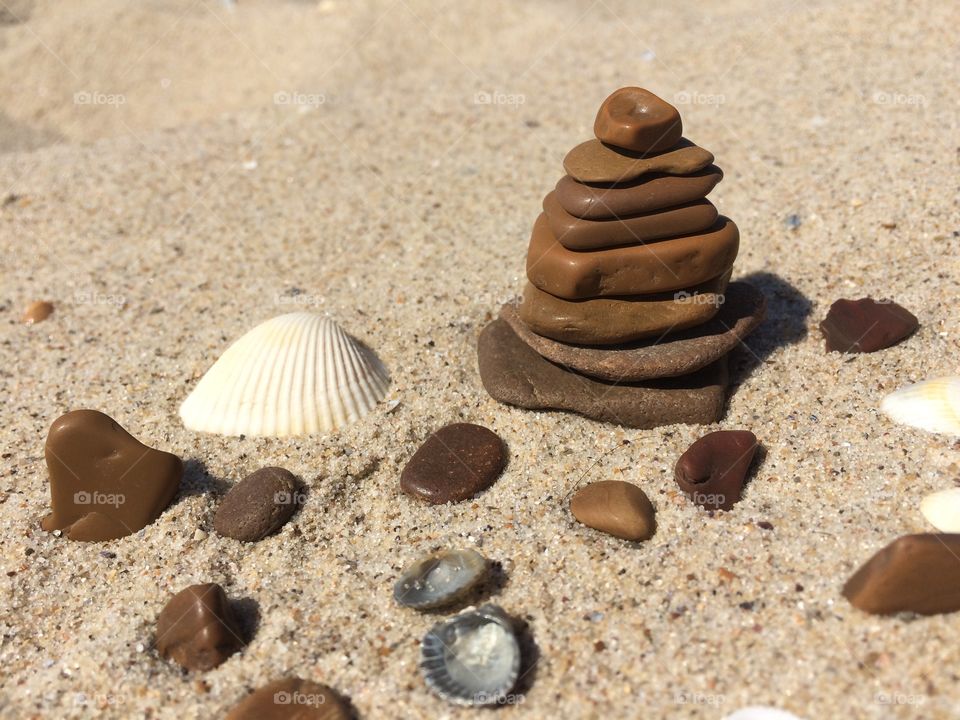 Shells and stones on a beach