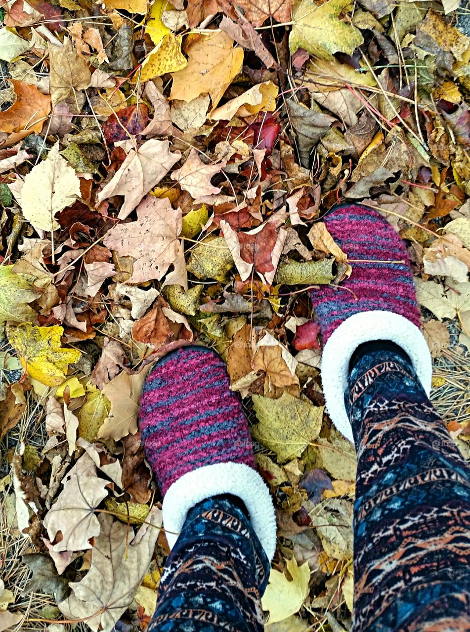 Enjoying a walk and the crisp colors of Fall Leaves!