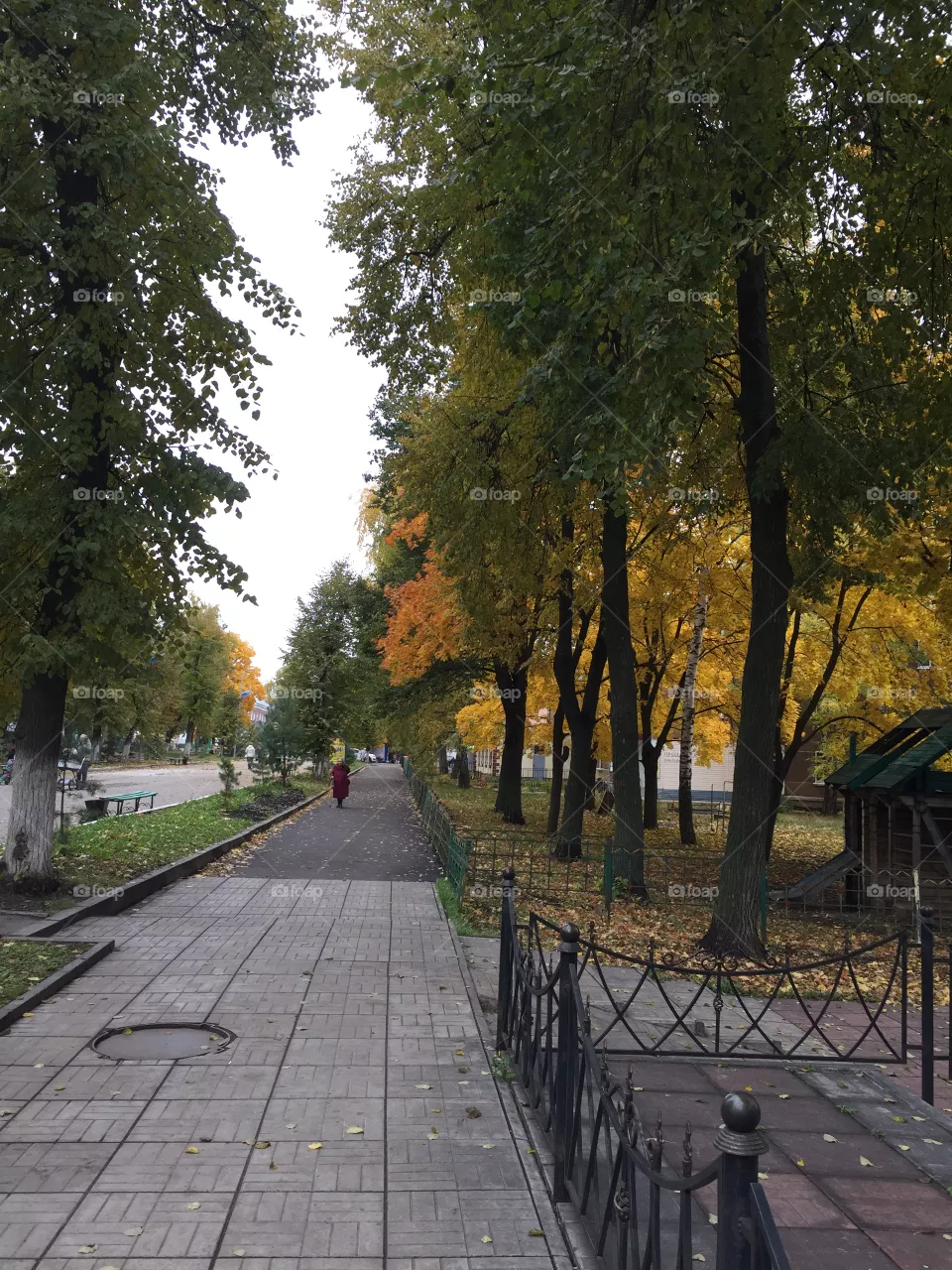 Autumn 