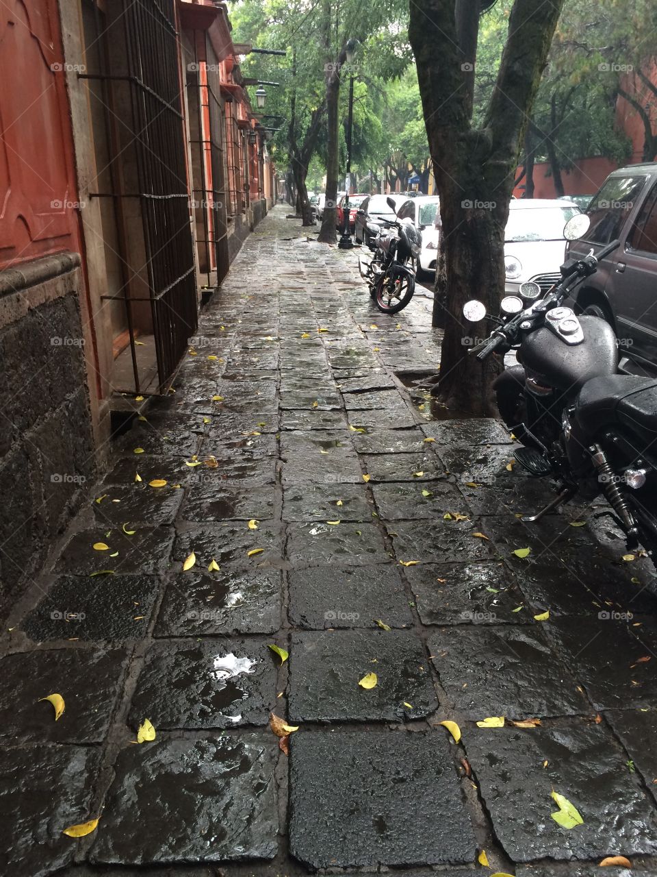 Road, Street, Rain, Bike, No Person