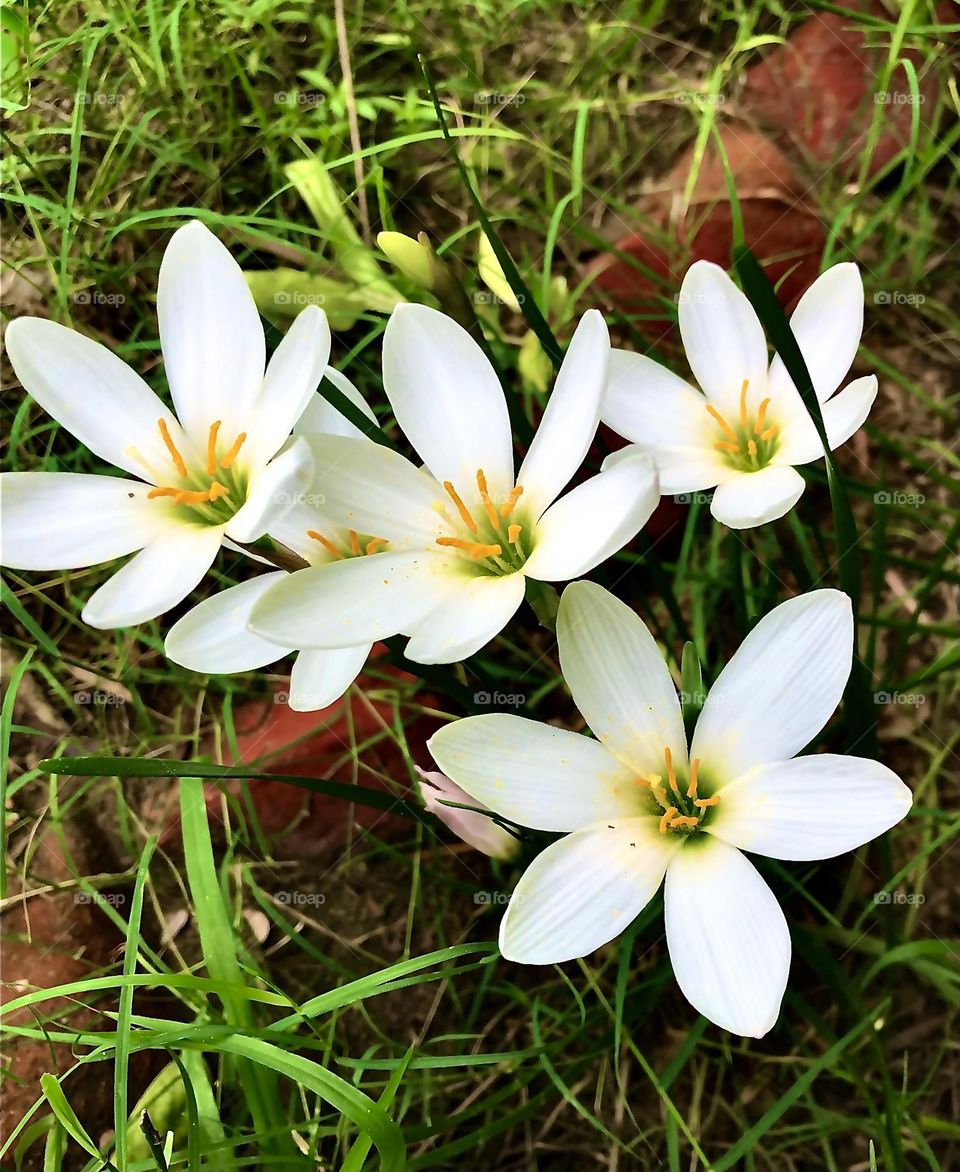 Photo of the month Aug