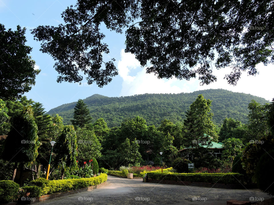 View of a park