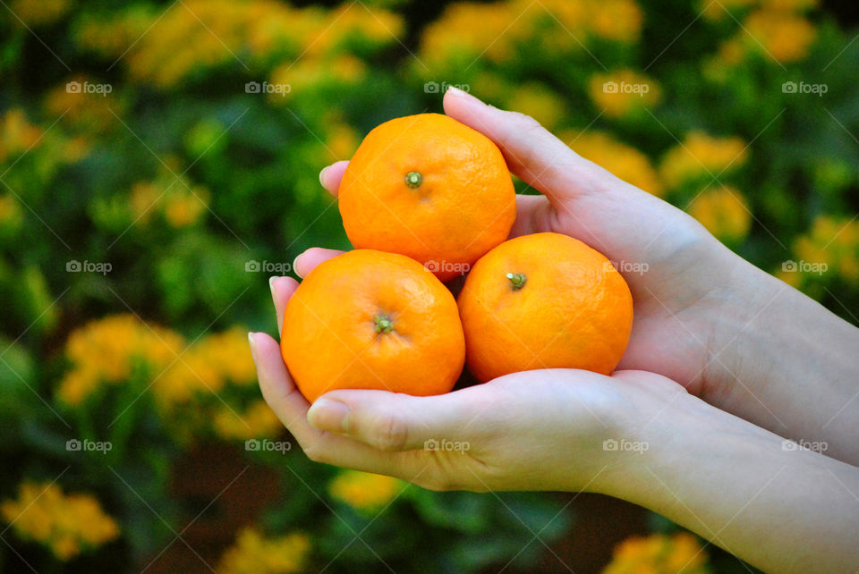 Holding oranges on hand at outdoor