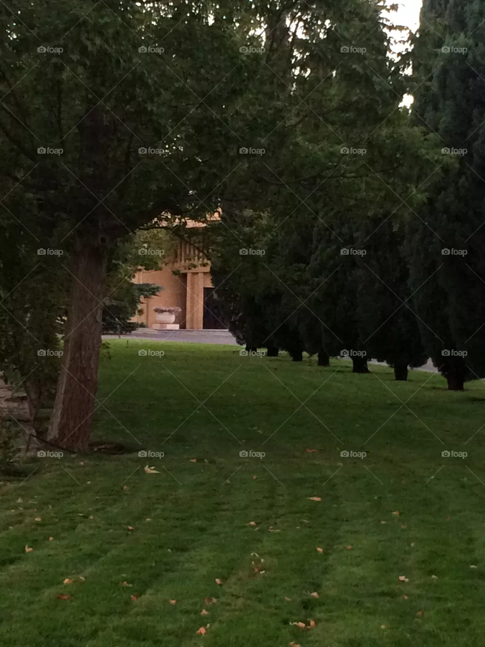 Park