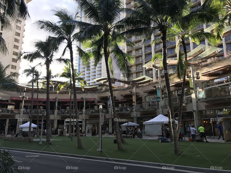 Honolulu 