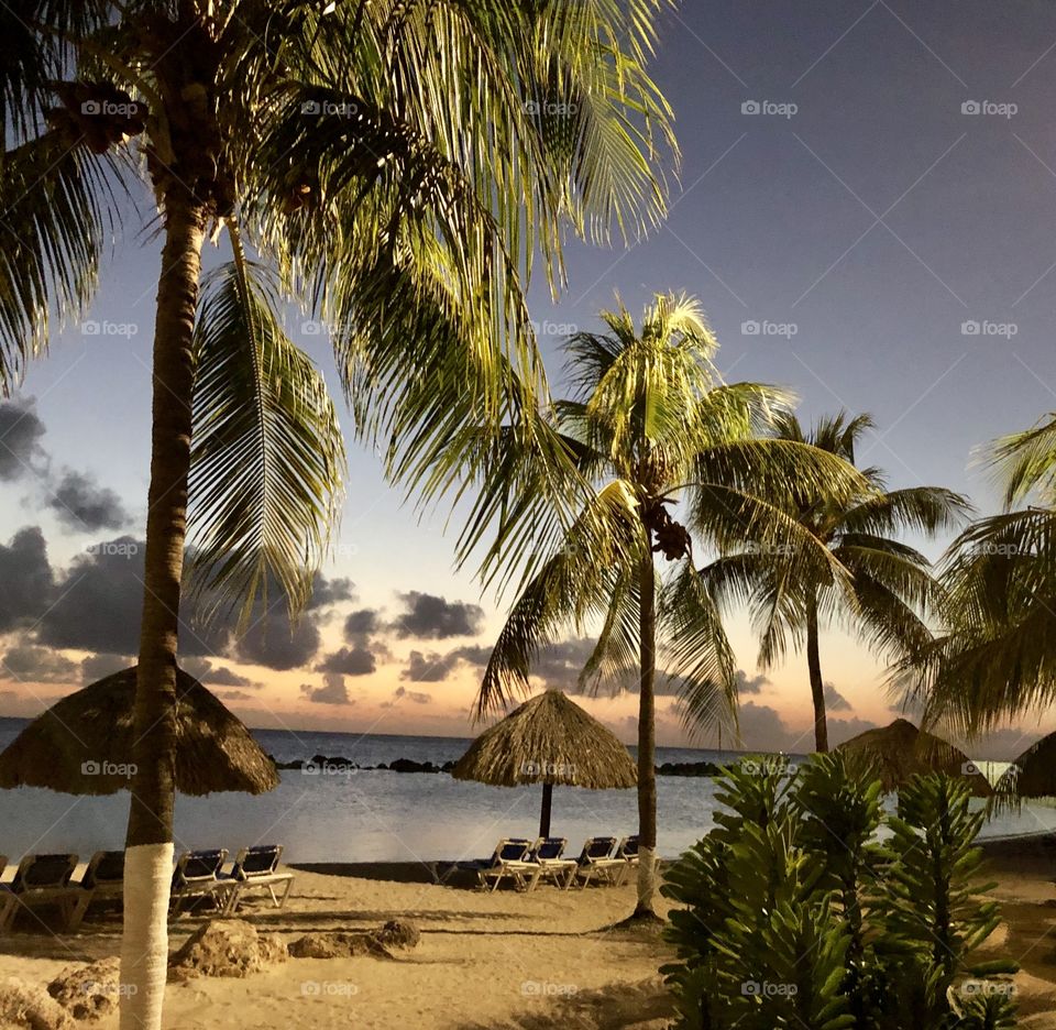 Dramatic sunset with palm trees on the beach